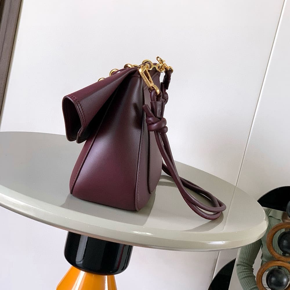 Loewe Medium Ola bag in smooth calfskin(HIGH-END GRADE)