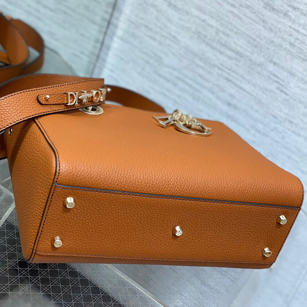 DIOR Medium Lady D-Sire My ABCDior Bag