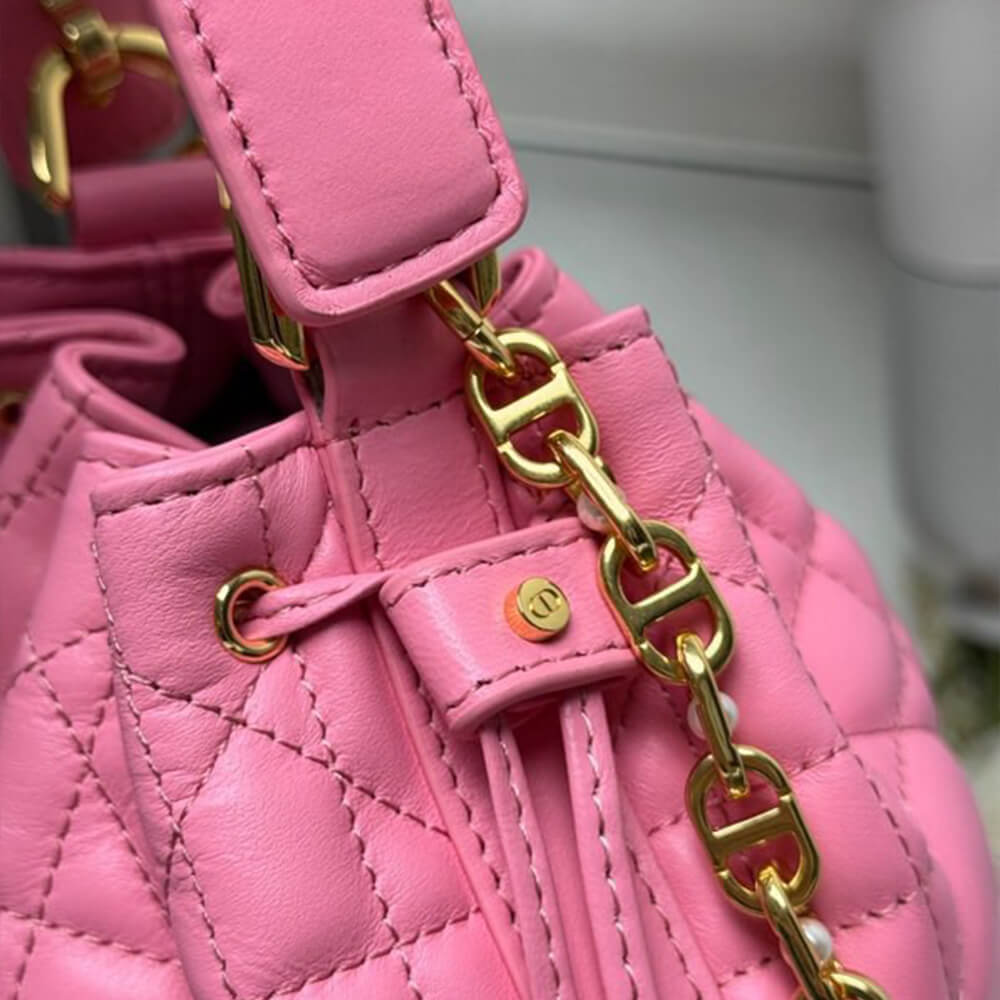 Dior Small Dior Jolie Bucket Bag