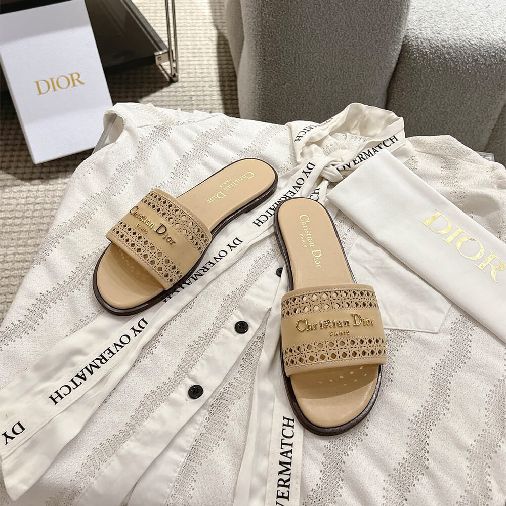 DIOR D-Lane Slide