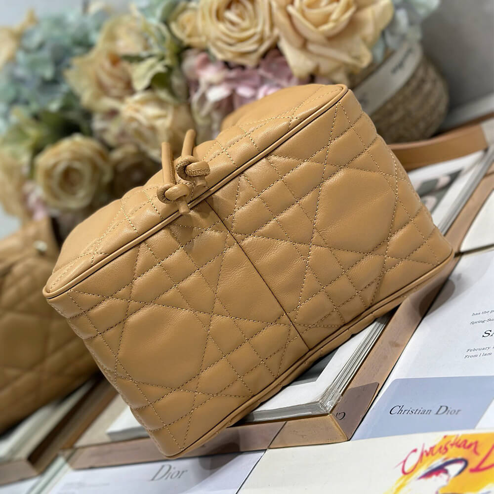 Dior Medium D-Motion Bag(HIGH-END GRADE)