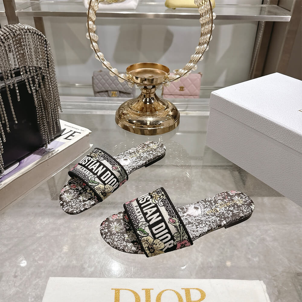 DIOR Dway Slide