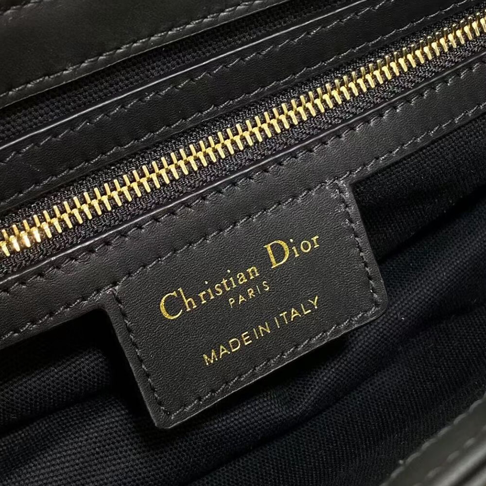 Dior Small Streetchic Bag(HIGH-END GRADE)