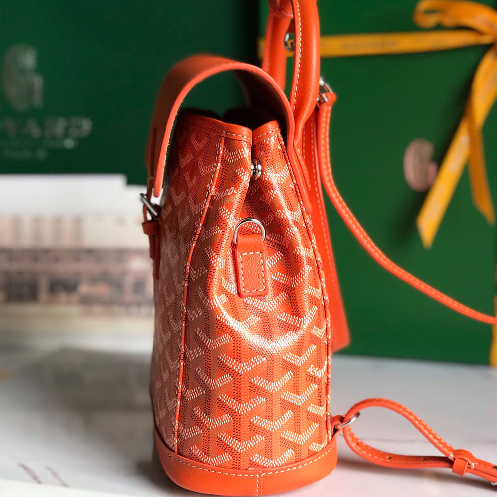 Goyard Alpin Mini Backpack