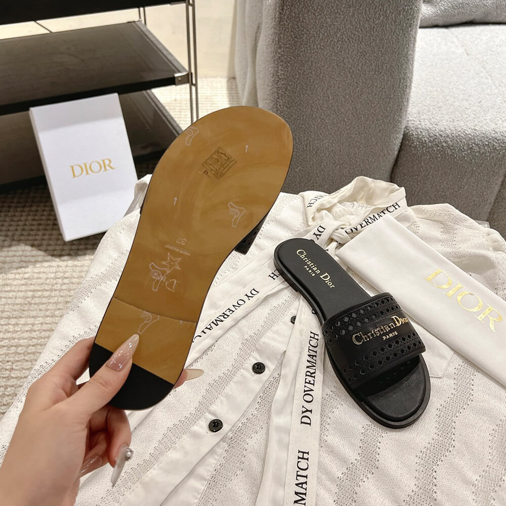 DIOR D-Lane Slide